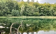 View of the Wummsee, Foto: Itta Olaj , Lizenz: Tourismusverband Ruppiner Seenland e.V.