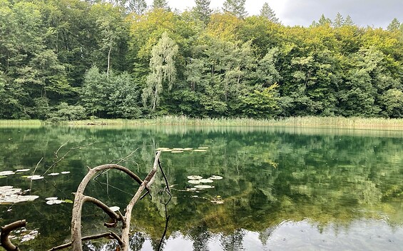 Wummsee - Circular Trail