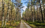 Tierpark-Heide-Radweg, Foto: Itta Olaj, Lizenz: Tourismusverband Ruppiner Seenland