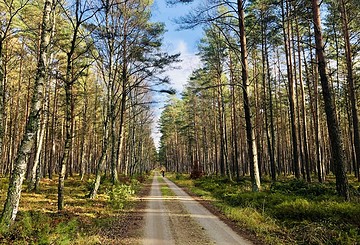 Tierpark-Heide-Radweg (Naturroute Neuruppin)