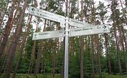Signposts on the Tierpark-Heide cycle path, Foto: Itta Olaj, Lizenz: Tourismusverband Ruppiner Seenland e.V.