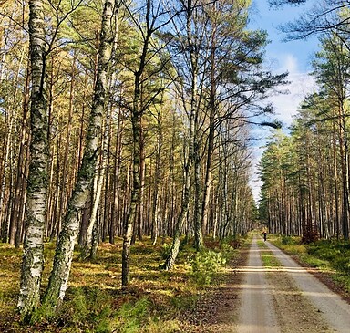 Tierpark-Heide-Radweg (Naturroute Neuruppin)