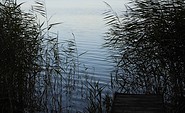 Blick auf den Potzlower See, Foto: Gabriele Meister