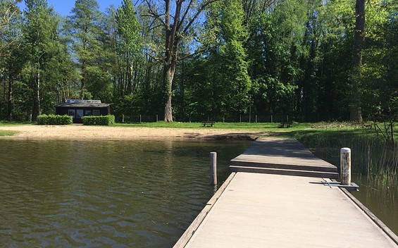 Bathing Area at Lake Ruppiner See in Alt Ruppin