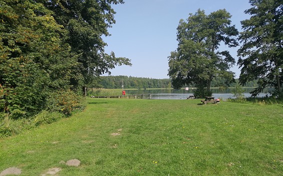 Bathing Area at Lake Zermützelsee in Zermützel