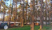 Camping im Wald, Foto: Waldcamping Am Großsee, Lizenz: Waldcamping Am Großsee