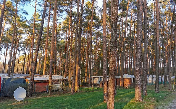 Camping im Wald, Foto: ReFanCard, Lizenz: Waldcamping Am Großsee