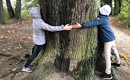 Baum-Umfang messen, Foto: Kinder und Jugendliche Schwielowsee