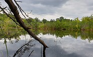 Peat cutting pond Werderscher Damm, Foto: Kultur- und Tourismusamt Schwielowsee