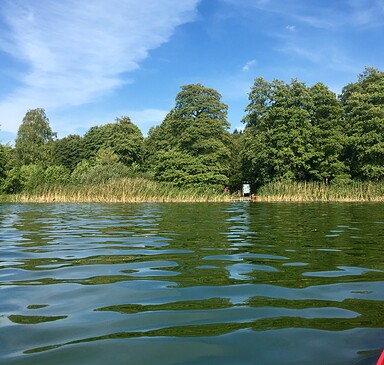 Leisure triathlon around Neuruppin