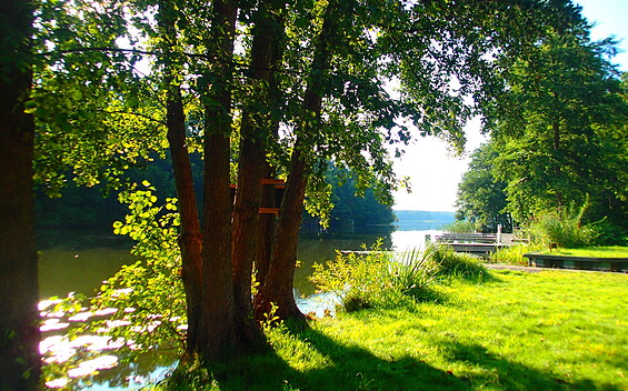 Ein Blick vom Sportboothafen, Foto: Tobias Netta, Lizenz: TMB Tourismus-Marketing Brandenburg GmbH