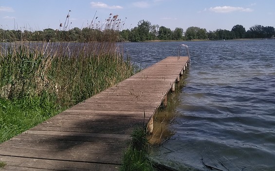 Natural Bathing Area at Lake Ruppiner See near Buskow