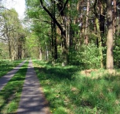 Tagestour 14 in die Historischen Stadtkerne Nauen, Kremmen & Neuruppin