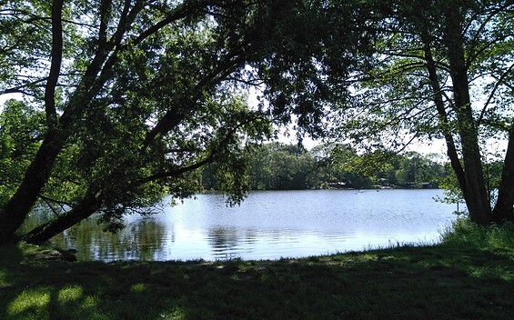 Wuthenow an der Lanke Natural Bathing Area at Lake Ruppiner See