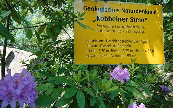 Kobbelner Stein, Foto: Besucherinformation Neuzelle, Lizenz: Besucherinformation Neuzelle