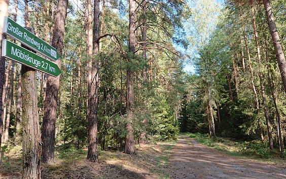 Hike around the "Springberg"