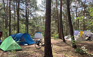 Stellplatz für Zelte, Foto: Julia Seidlitz, Lizenz: Wald- und Naturcampingplatz am Tonsee Süd / Julia Seidlitz