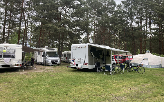 Stellflächen für Wohnmobile und Wohnwagen, Foto: Julia Seidlitz, Lizenz: Wald- und Naturcampingplatz am Tonsee Süd / Julia Seidlitz