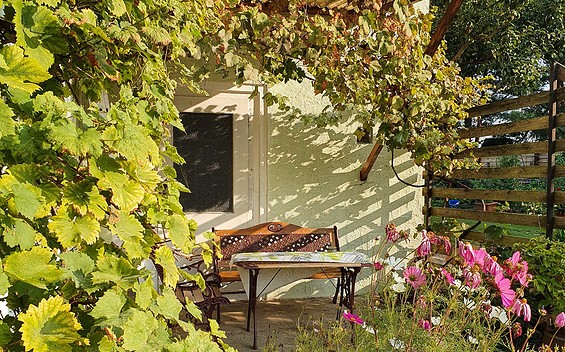 Schattiges Plätzchen, Foto: Katrin Fischer