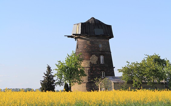 Großkopfs Turmwindmühle bei Niemegk, Foto: Bansen/Wittig