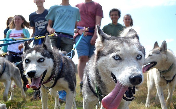 Jugendgruppe Wandern mit Huskies, Foto: Sabine Kühn, Lizenz: Freizeit- und Tourismusservice