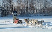 Hundeschlittenkurs im Winter, Foto: Sabine Kühn, Lizenz: Freizeit- und Tourismusservice