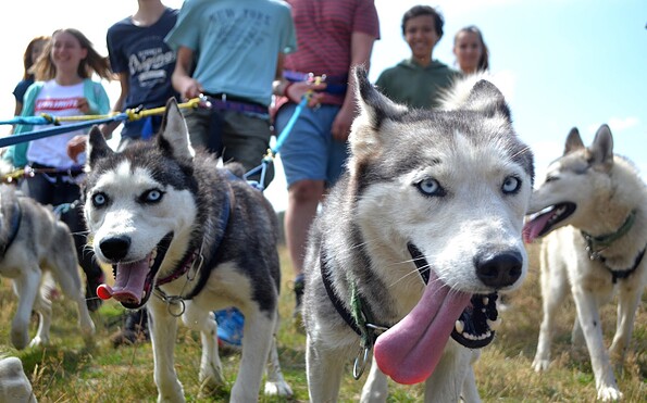 Jugendgruppe Wandern mit Huskies, Foto: Sabine Kühn, Lizenz: Freizeit- und Tourismusservice