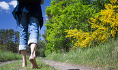 Auf dem Barfußwanderweg, Foto: Bansen/Wittig