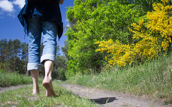 Barfusswanderweg (barefoot walking trail)