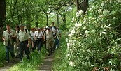 Burgenwanderweg im Wiesenburger Park, Foto: Naturparkverein Hoher Fläming e.V.