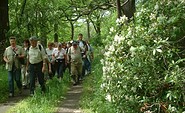 Burgenwanderweg im Wiesenburger Park, Foto: Naturparkverein Hoher Fläming e.V.