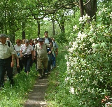 Castle hiking trail