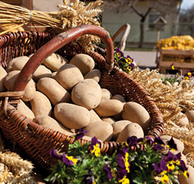 Gerlind Neumann Potato Farm