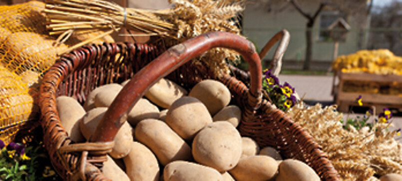 Gerlind Neumann Potato Farm