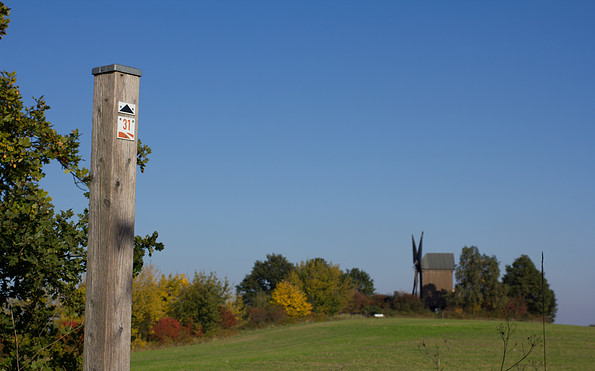 Der Naturpark-Rundwanderweg 31 führt an der Mühle Borne vorbei. , Foto: Bansen/Wittig