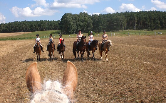 Unterwegs, Foto: Gestüt Buckautal