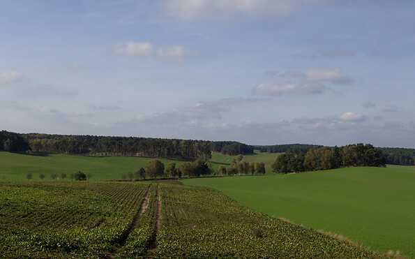 Panoramablick Garrey, Foto: Bansen/Wittig