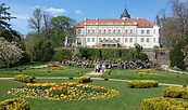 Frühjahrsflor im Blick zum Schloss Wiesenburg, Foto: Kathrin Rospek