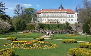 Frühjahrsflor im Blick zum Schloss Wiesenburg, Foto: Kathrin Rospek