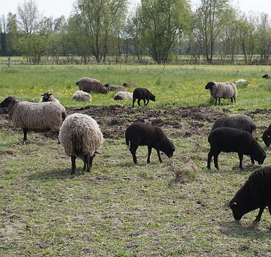 Biohof Rottstock, farm shop