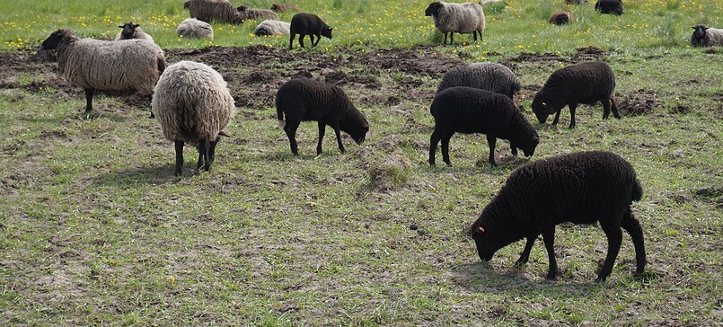 Biohof Rottstock, farm shop