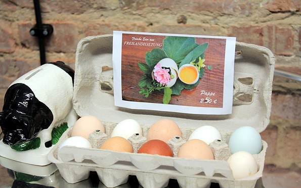 Frische, bunte Eier im Hofladen, Foto: Bansen/Wittig