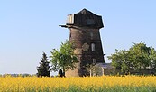 Großkopfs Turmwindmühle bei Niemegk, Foto: Bansen/Wittig