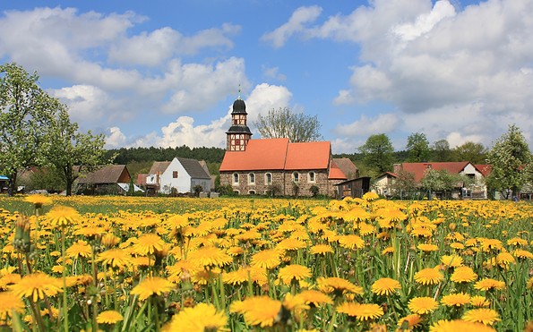 Dorfkirche Raben mit Löwenzahnblütenmeer, Foto: Bansen/Wittig