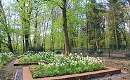 Neu gestaltetes Erbbegräbnis im Schlosspark, Foto: Bansen/Wittig