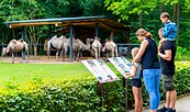 Im Cottbuser Tierpark, Foto: Andreas Franke, Lizenz: CMT Cottbus