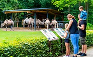 Im Cottbuser Tierpark, Foto: Andreas Franke, Lizenz: CMT Cottbus