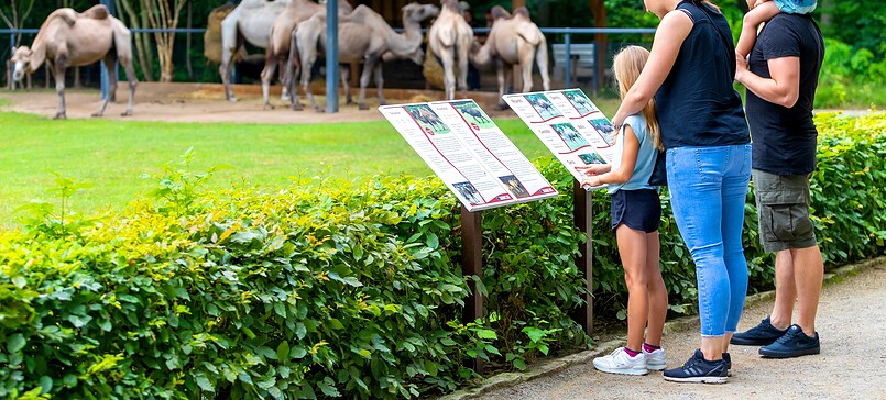 Wanderung: Familientour "Vom verrückten Fürsten und putzigen Erdmännchen"