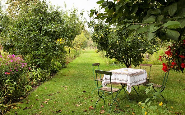 Garten in der Russischen Kolonie Alexandrowka, Foto: André Stiebitz, Lizenz: PMSG