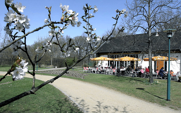Frühling im Parkcafé im Spreeauenpark Cottbus, Foto: CMT Cottbus, Lizenz: CMT Cottbus